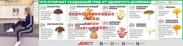 трава Абинск